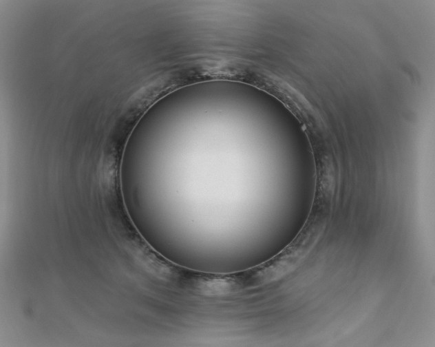 X0000110920513200906181411