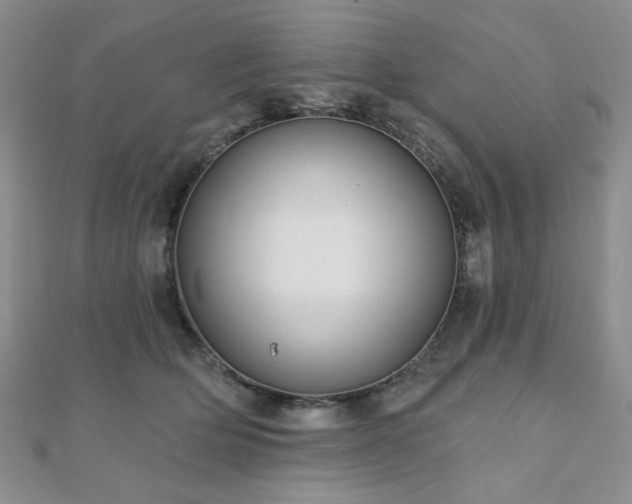 X0000110920514200906181411