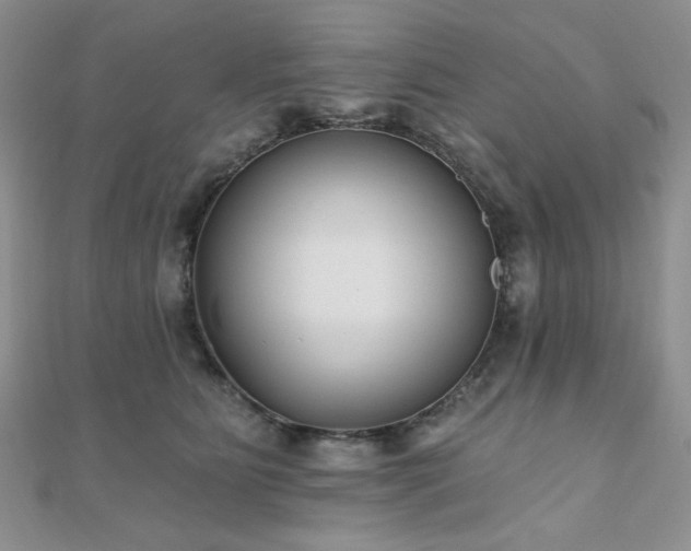 X0000110920515200906181411