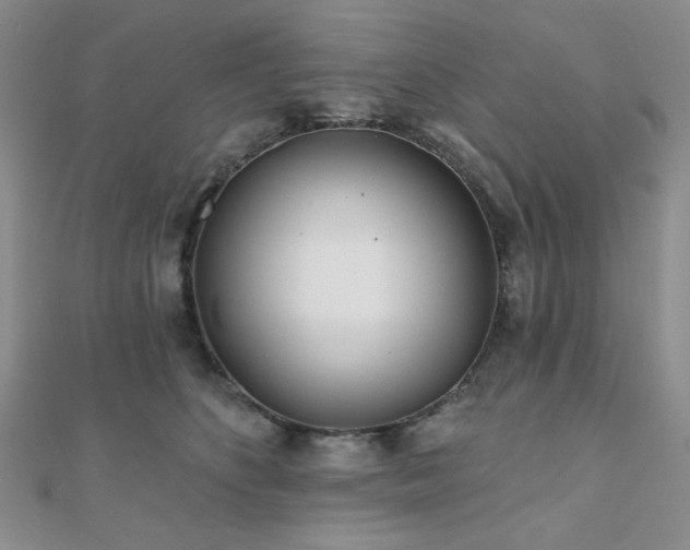 X0000110920516200906181411