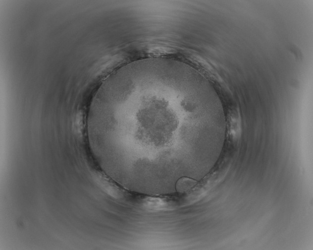 X0000110920519200906181411
