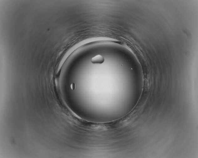 X0000110920520200906181411