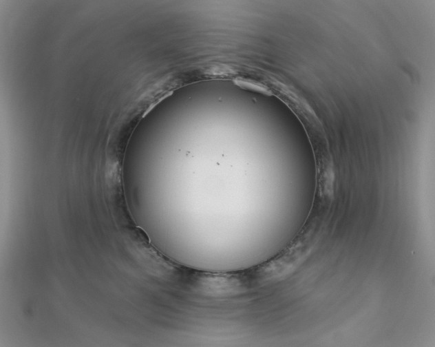 X0000110920521200906181411