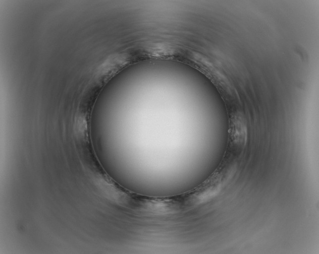 X0000110920523200906181411