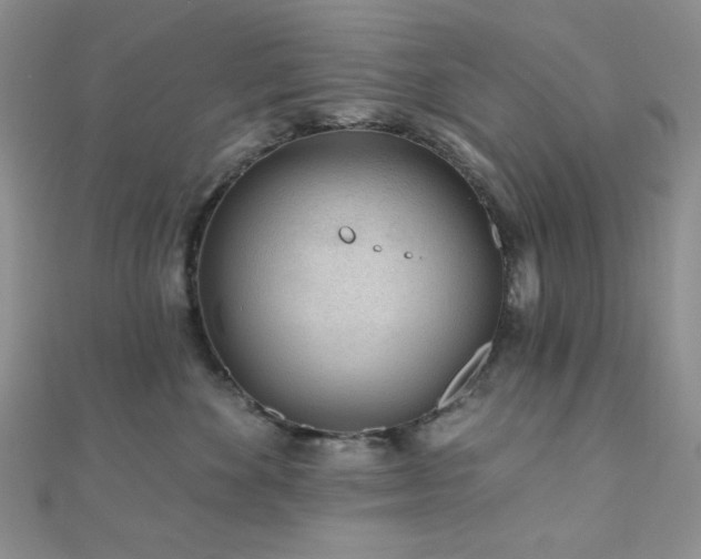 X0000110920524200906181411