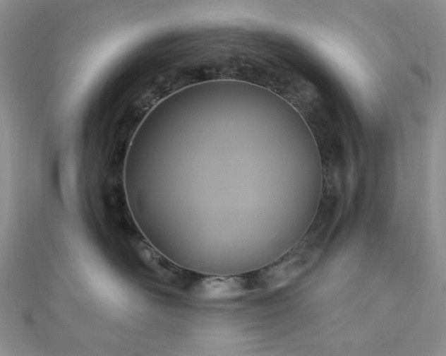 X0000110920526200906181411