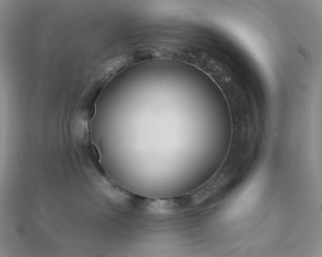X0000110920527200906181411