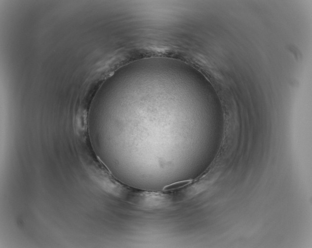 X0000110920528200906181411