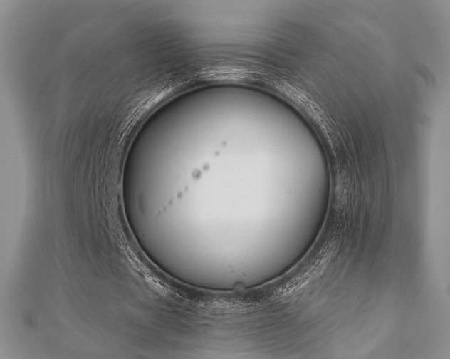 X0000110920529200906181410