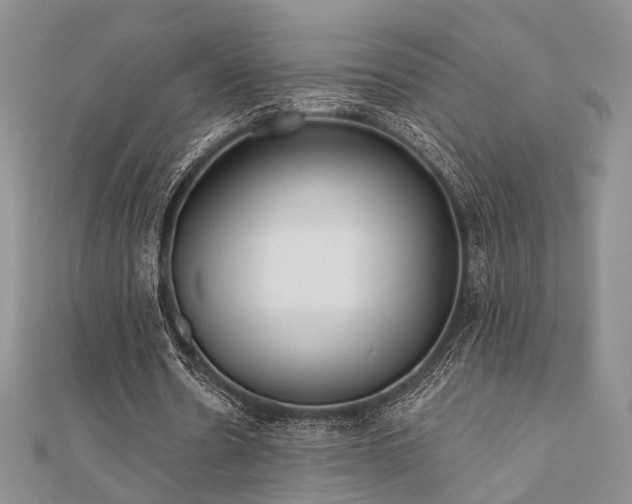 X0000110920530200906181410