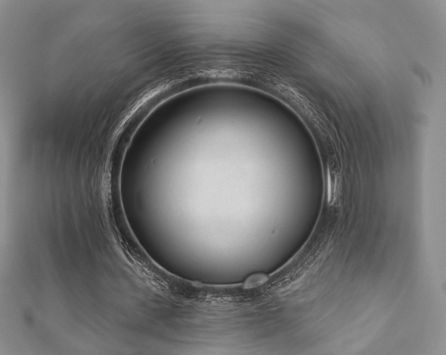 X0000110920531200906181410