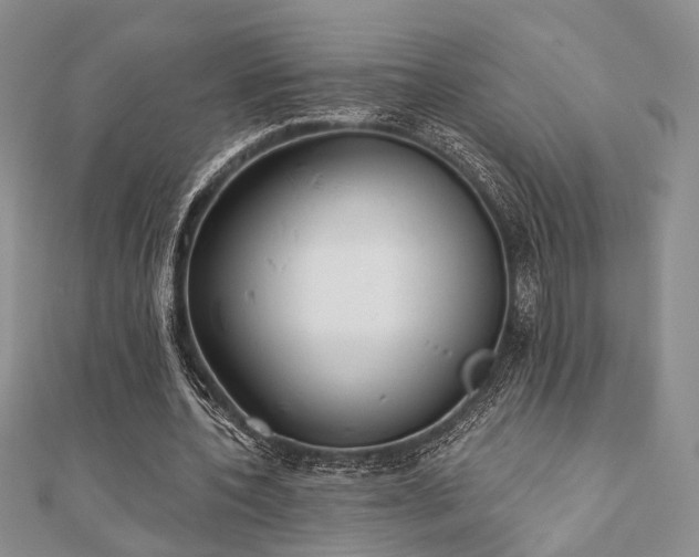 X0000110920532200906181410
