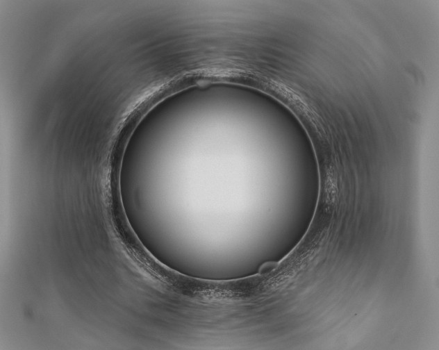X0000110920535200906181410