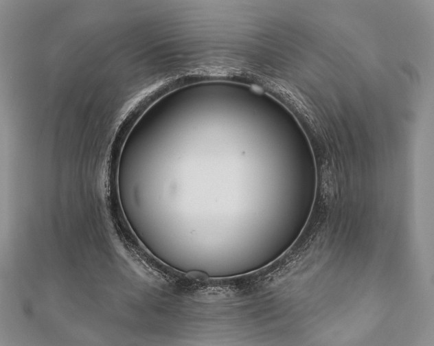 X0000110920536200906181411