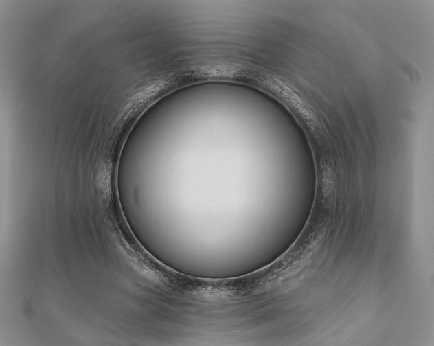 X0000110920537200906181411