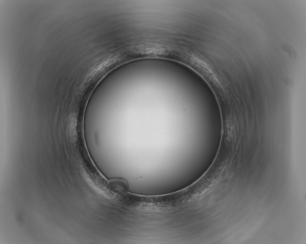 X0000110920538200906181411