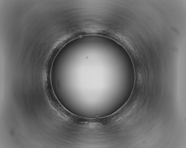 X0000110920539200906181411
