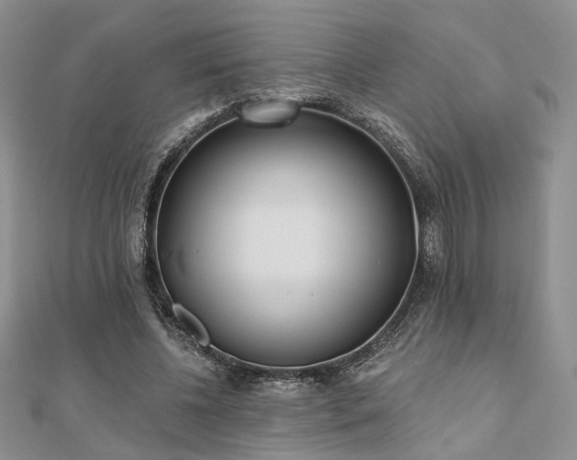 X0000110920540200906181411