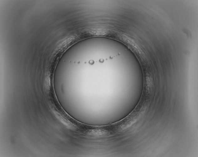 X0000110920541200906181411