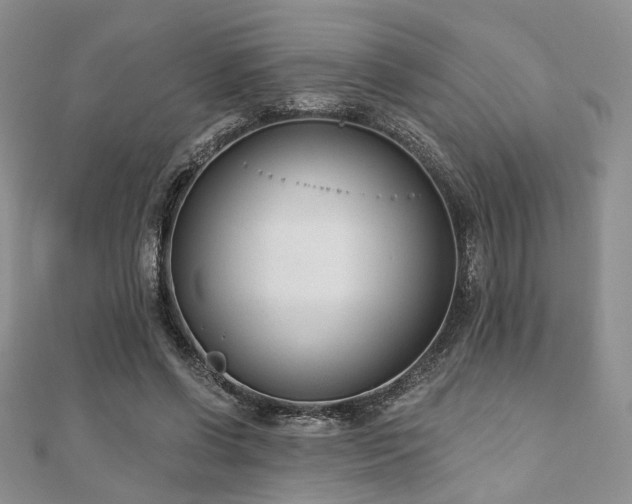 X0000110920542200906181411