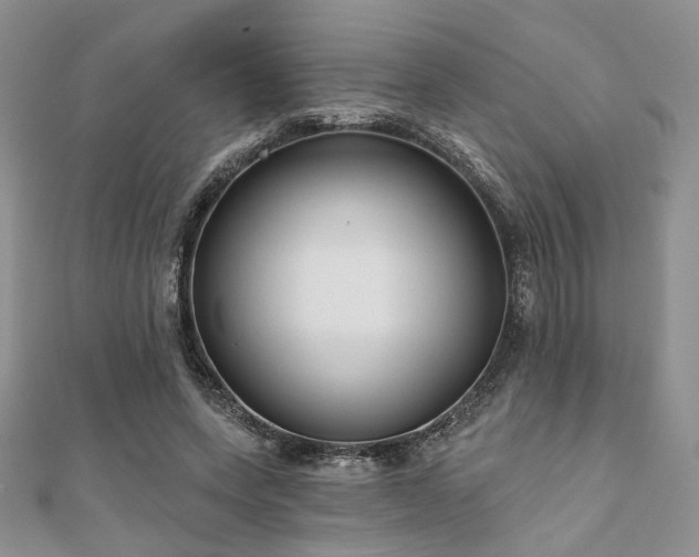 X0000110920543200906181411