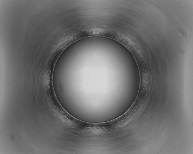 X0000110920545200906181411