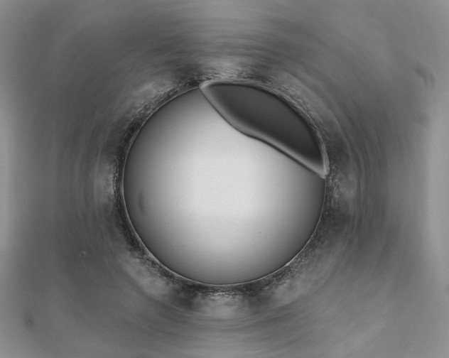X0000110920546200906181411