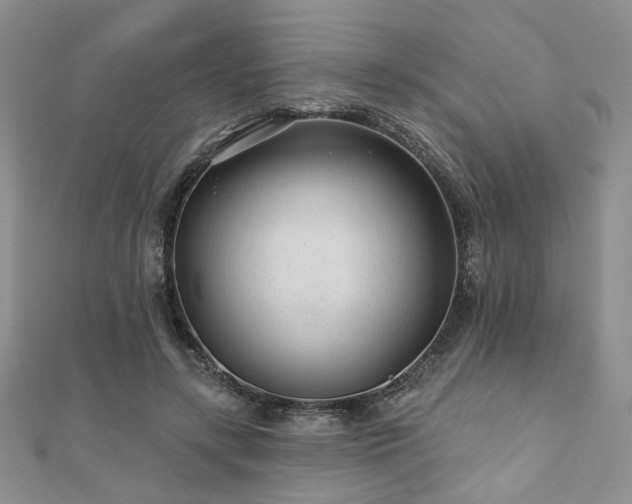 X0000110920547200906181411