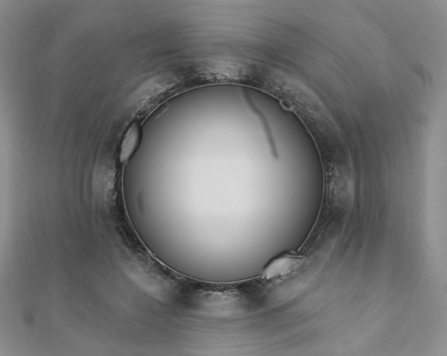 X0000110920548200906181411