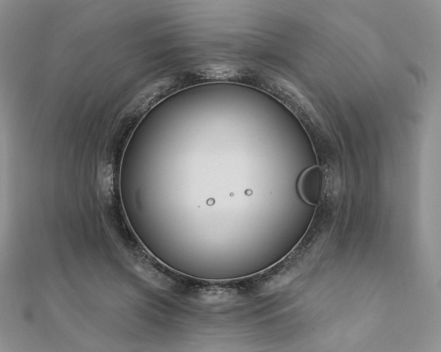 X0000110920549200906181411
