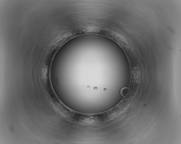 X0000110920550200906181411