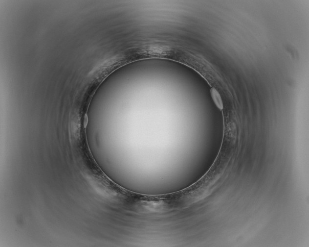 X0000110920552200906181411