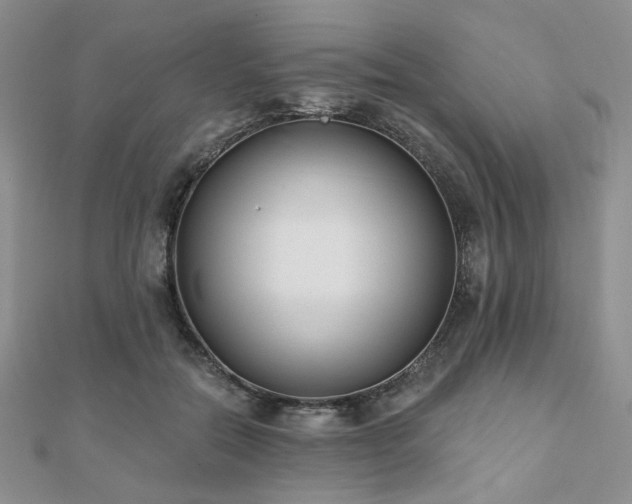 X0000110920554200906181411