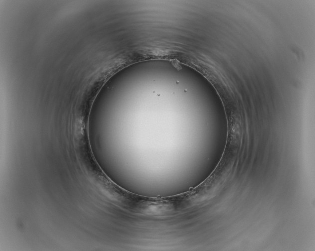 X0000110920555200906181411