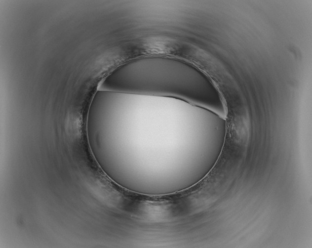 X0000110920556200906181411