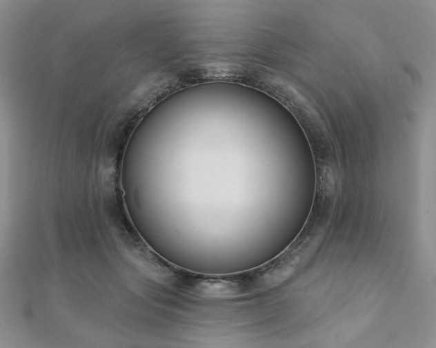 X0000110920557200906181411