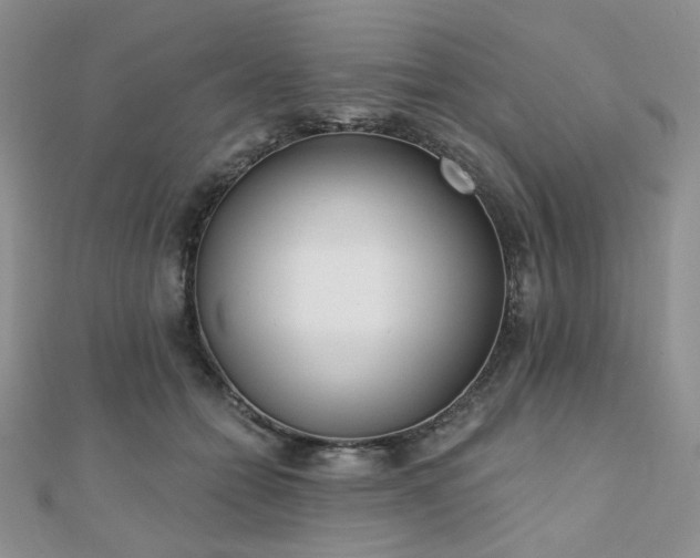 X0000110920558200906181411