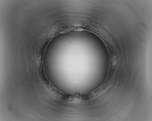 X0000110920559200906181411