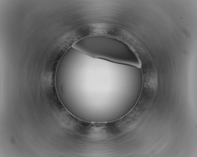 X0000110920560200906181411