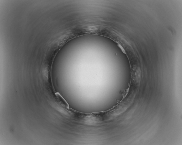 X0000110920562200906181411