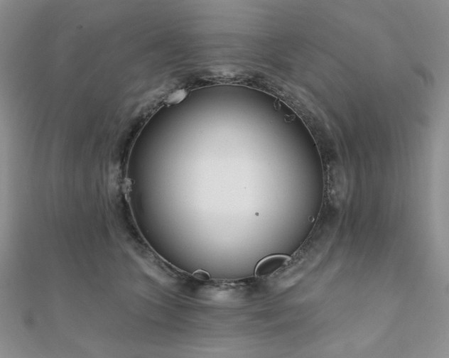 X0000110920563200906181411