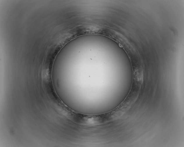 X0000110920564200906181411