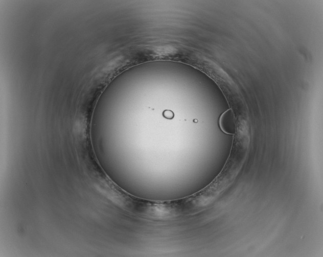 X0000110920565200906181411