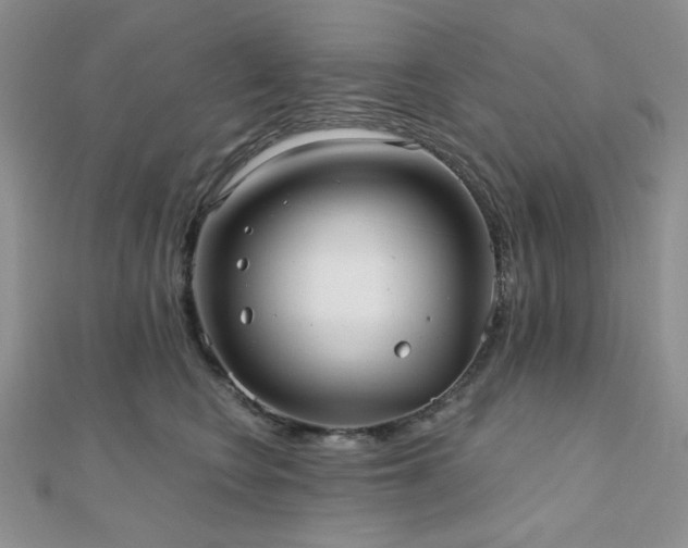 X0000110920566200906181411