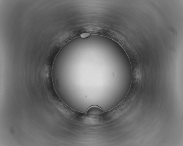 X0000110920567200906181411