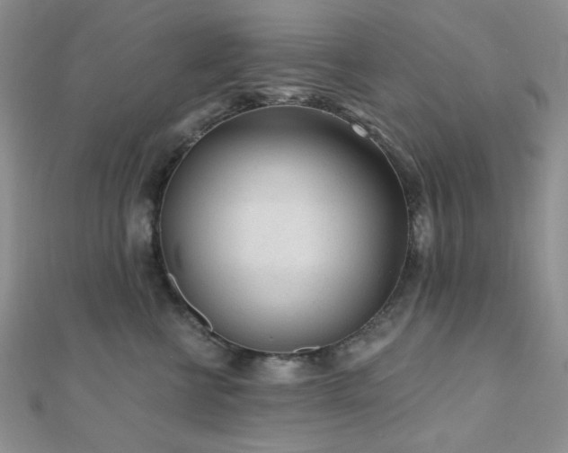 X0000110920570200906181411