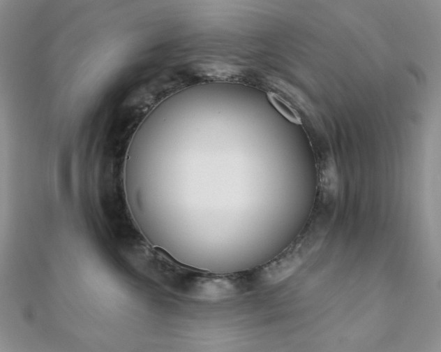 X0000110920572200906181411