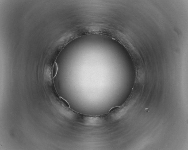 X0000110920575200906181411