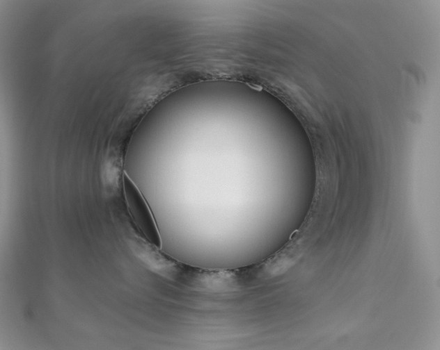 X0000110920576200906181411