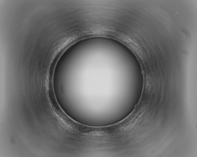 X0000110920578200906181410